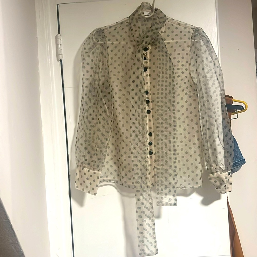 Zara Sheer Polka Dot Blouse